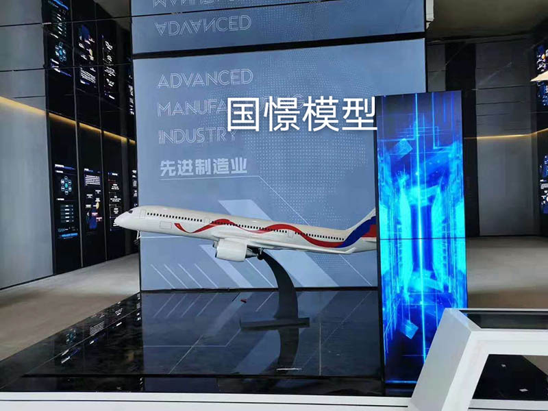 麟游县飞机模型
